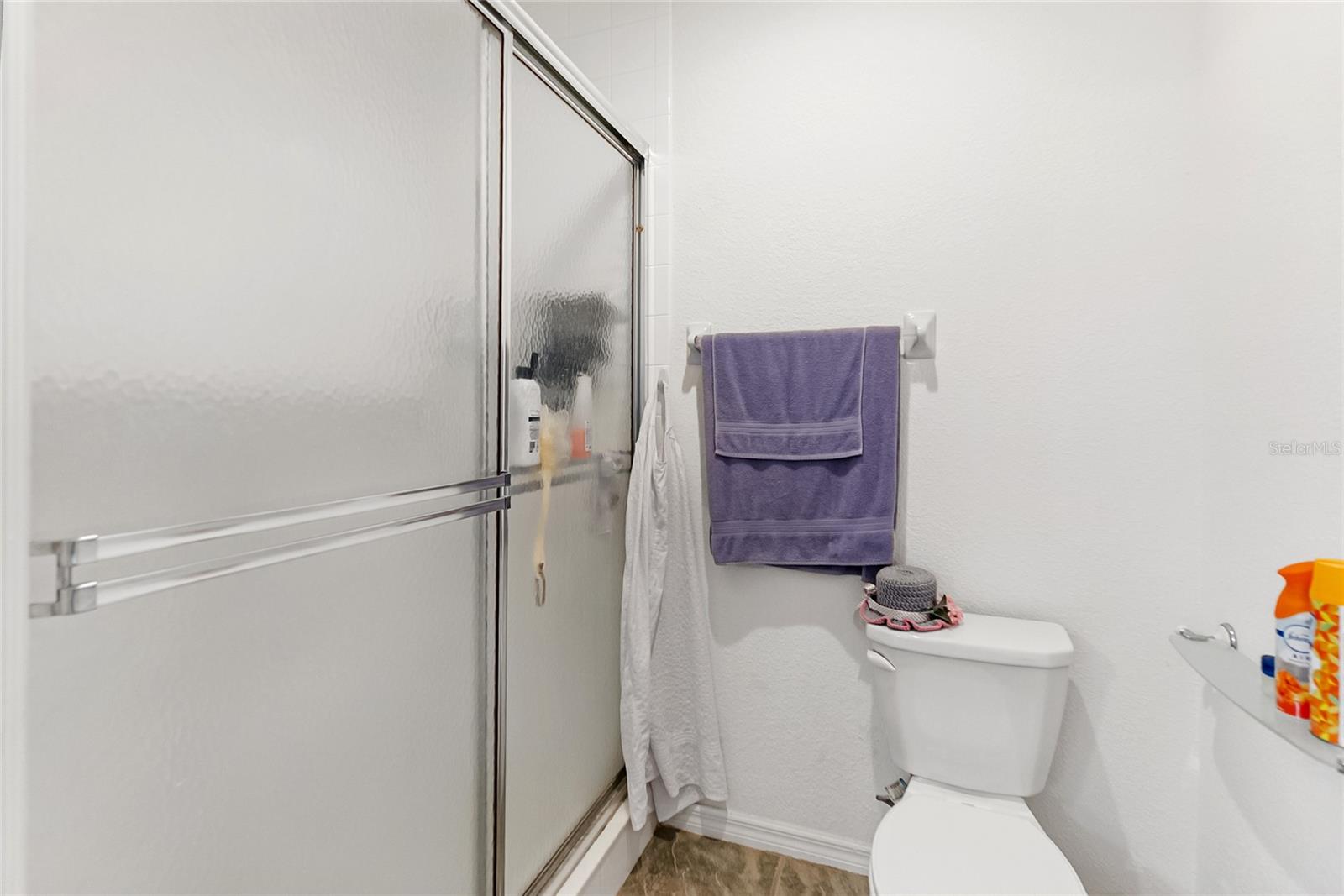 7343 FOUNTAIN PALM CIR #na — photo 29
