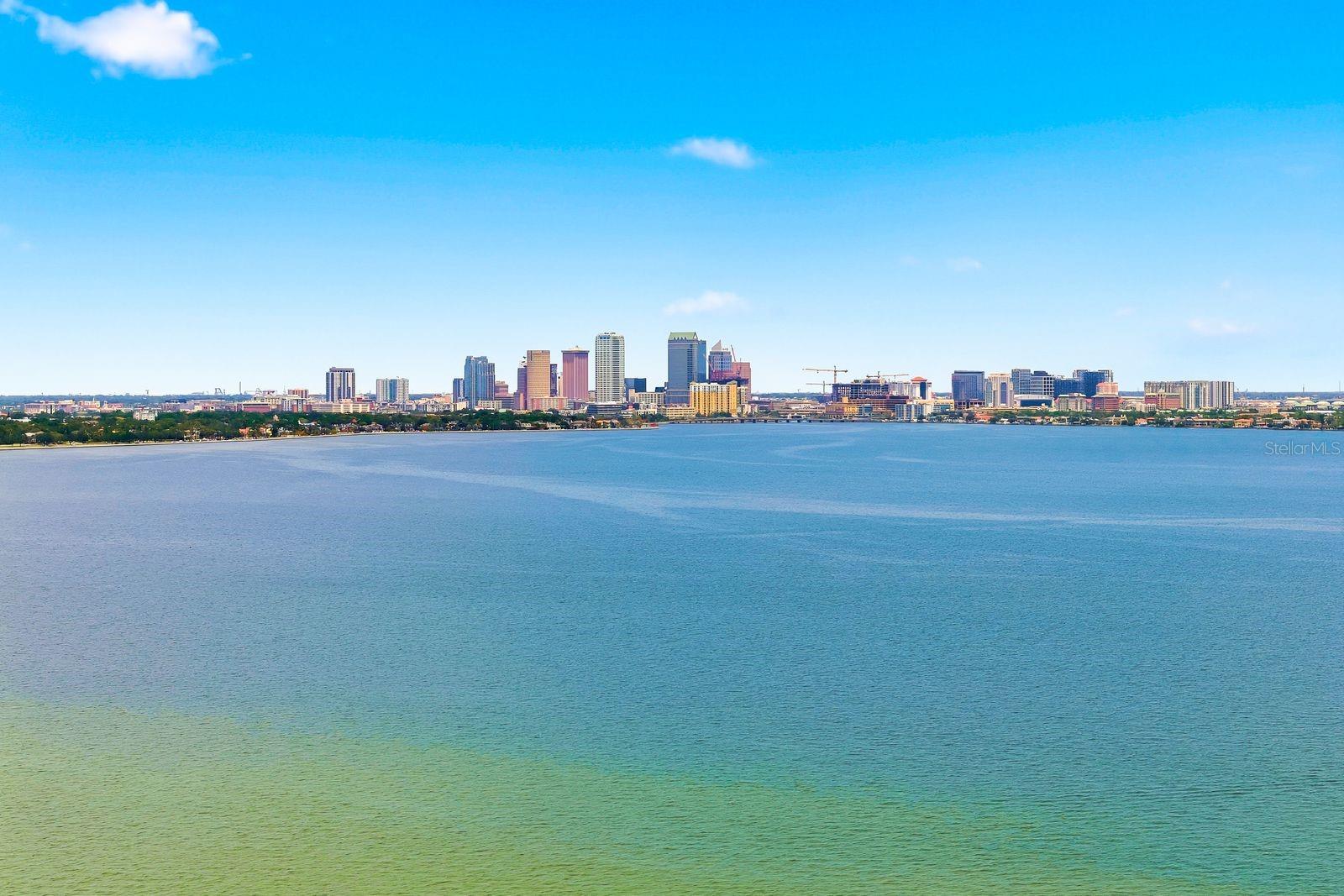 4811 BAYSHORE BLVD #303 — photo 39