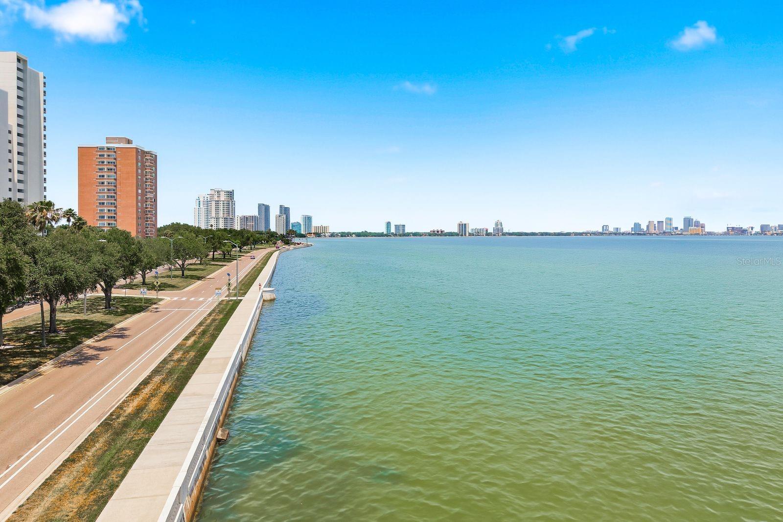 4811 BAYSHORE BLVD #303 — photo 34