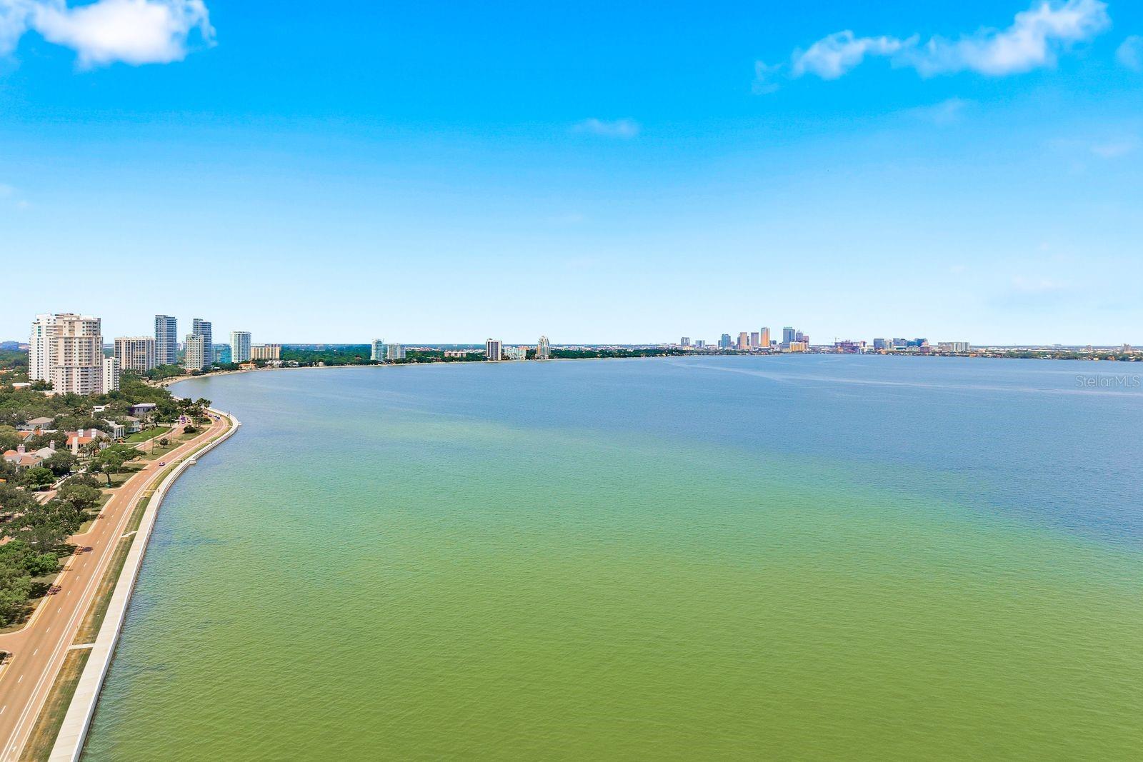 4811 BAYSHORE BLVD #303 — photo 38