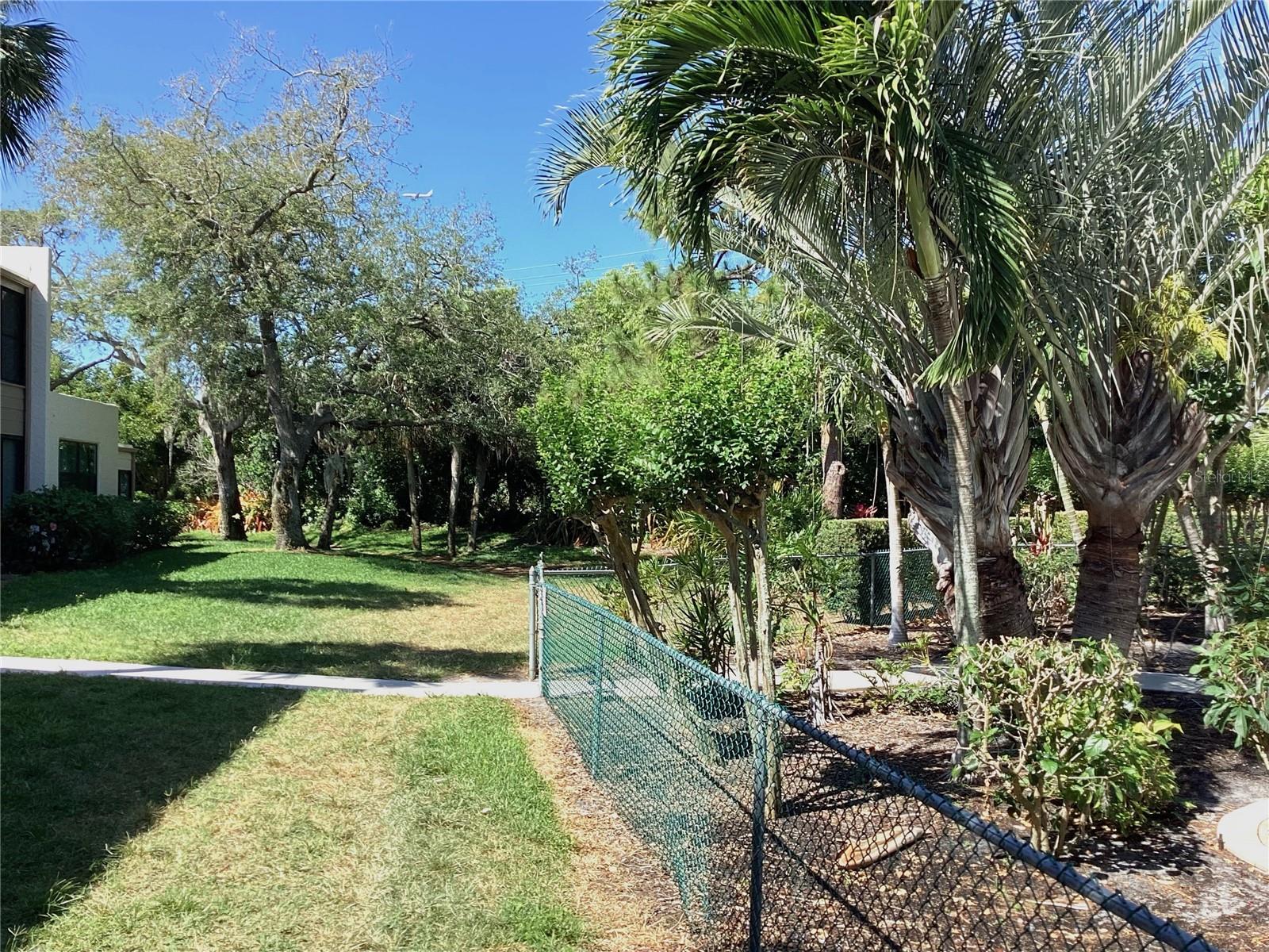 335 SPRINGDALE DR #0 — photo 40