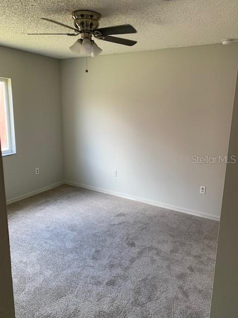 11802 LYNMOOR DR — photo 8