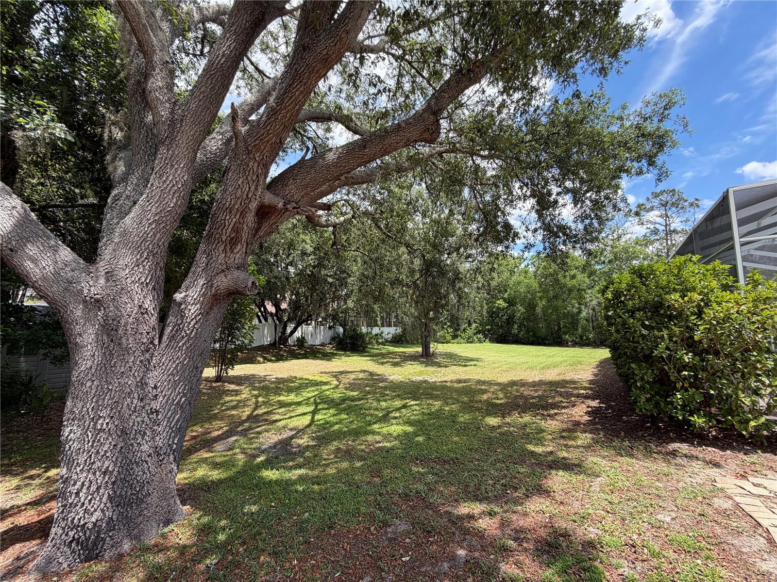2966 POST ROCK CT — photo 44
