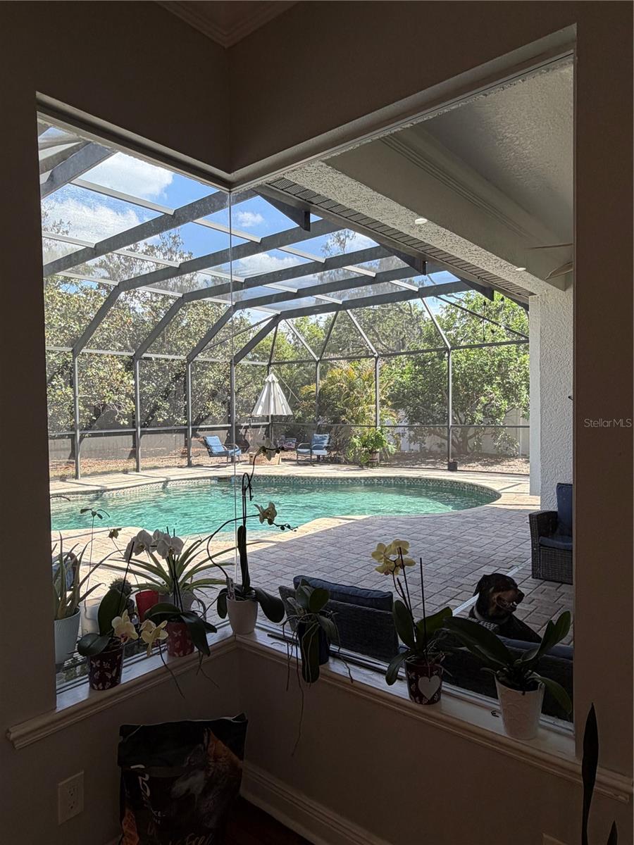 8137 GOLDEN BEAR LOOP — photo 13