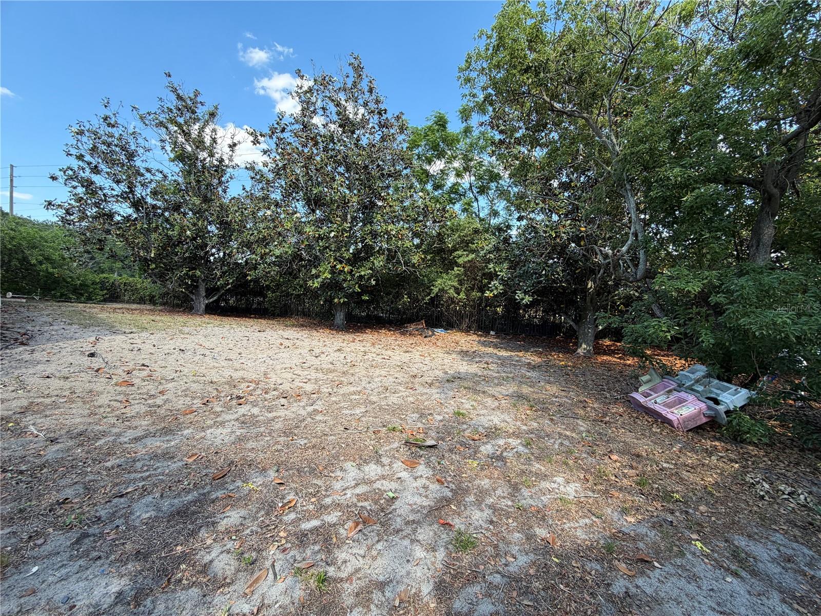 8137 GOLDEN BEAR LOOP — photo 29