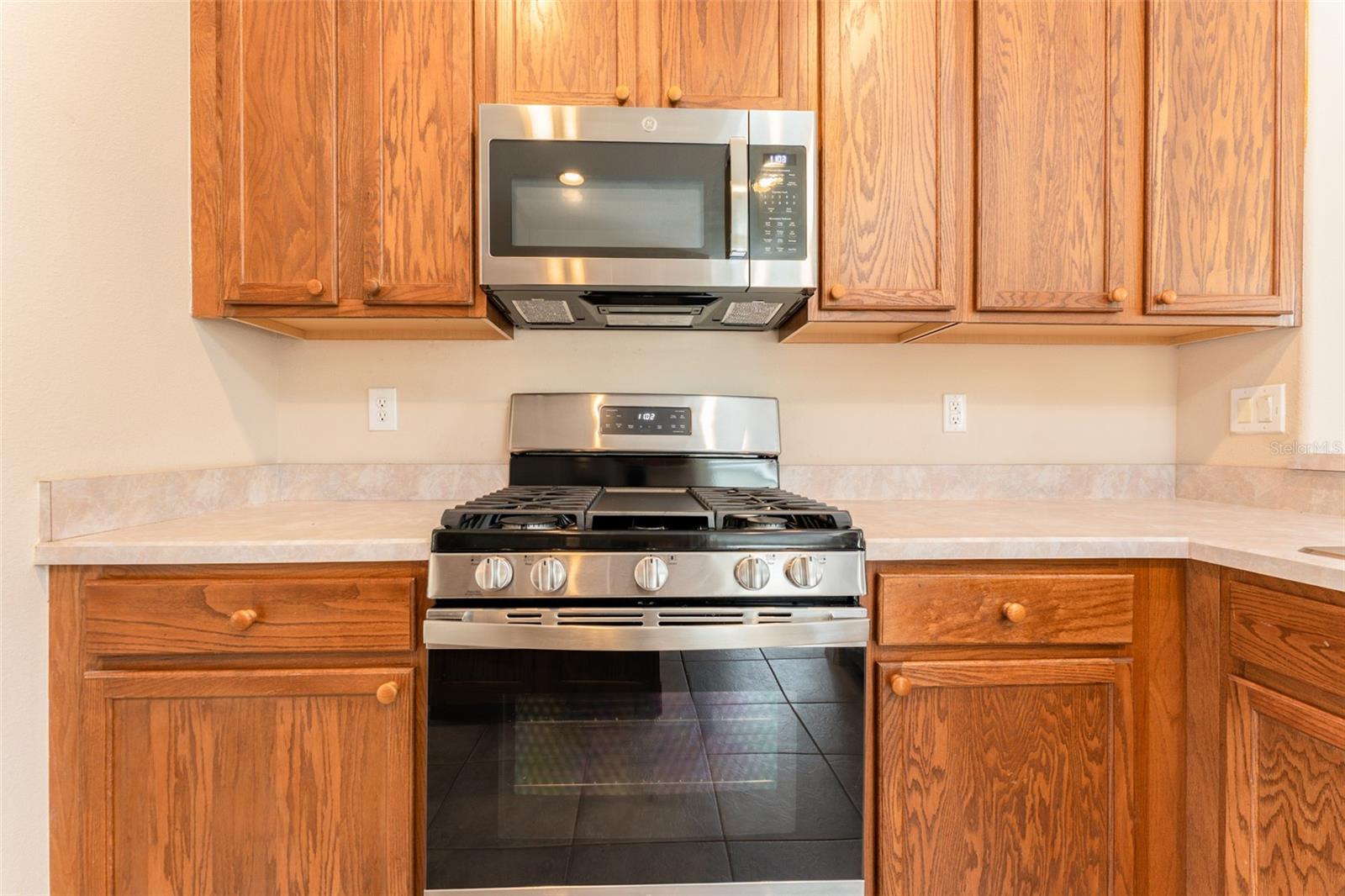 6302 BRIDGEVISTA DR — photo 9