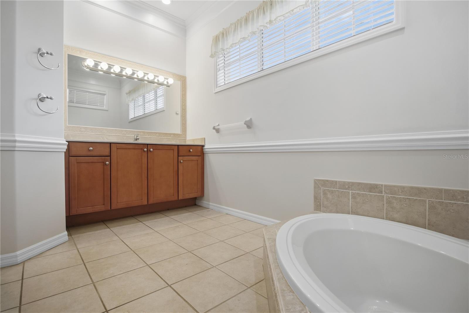 5291 WHITE IBIS DR — photo 17