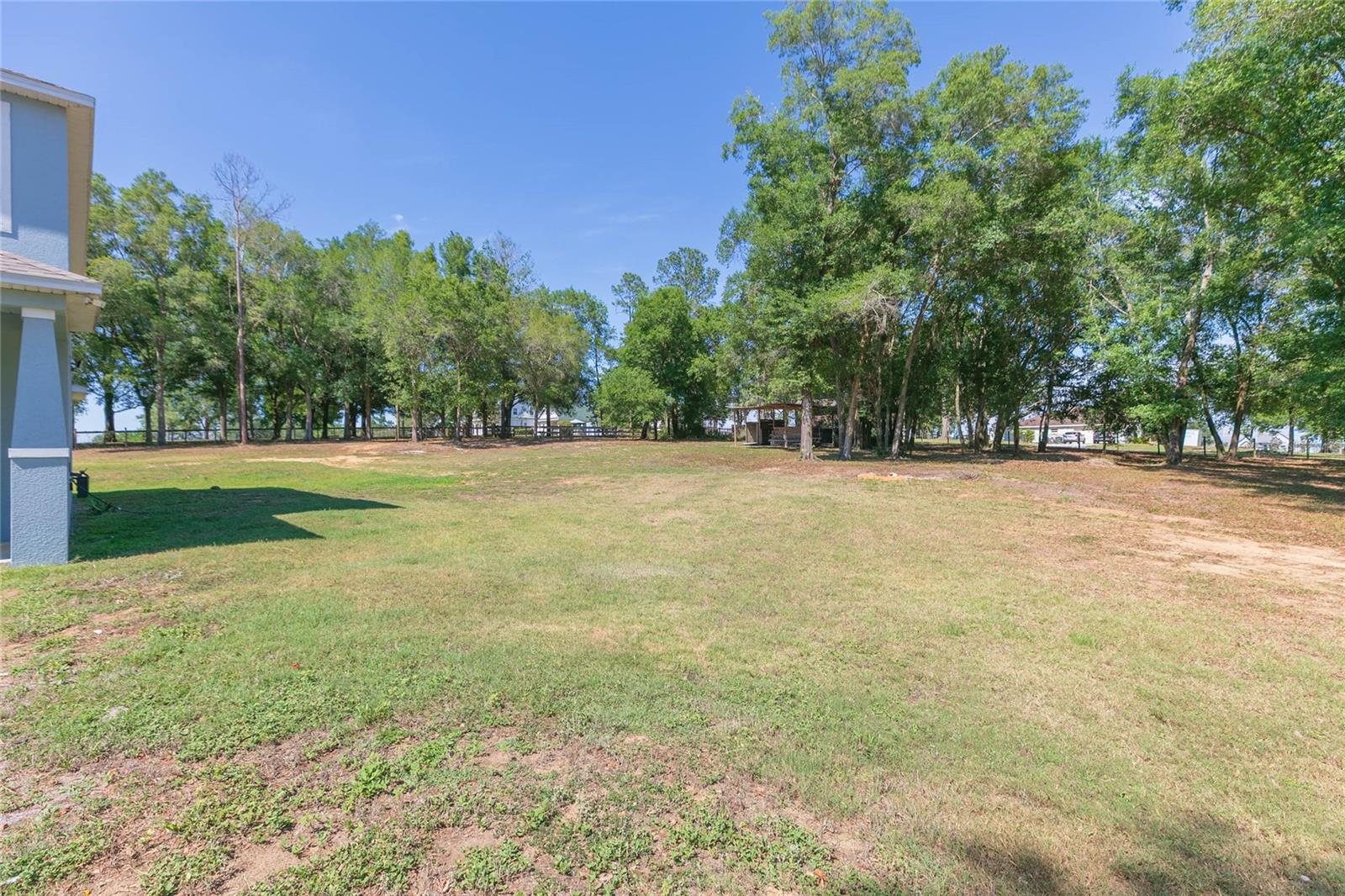 35369 RUFFING RD — photo 42