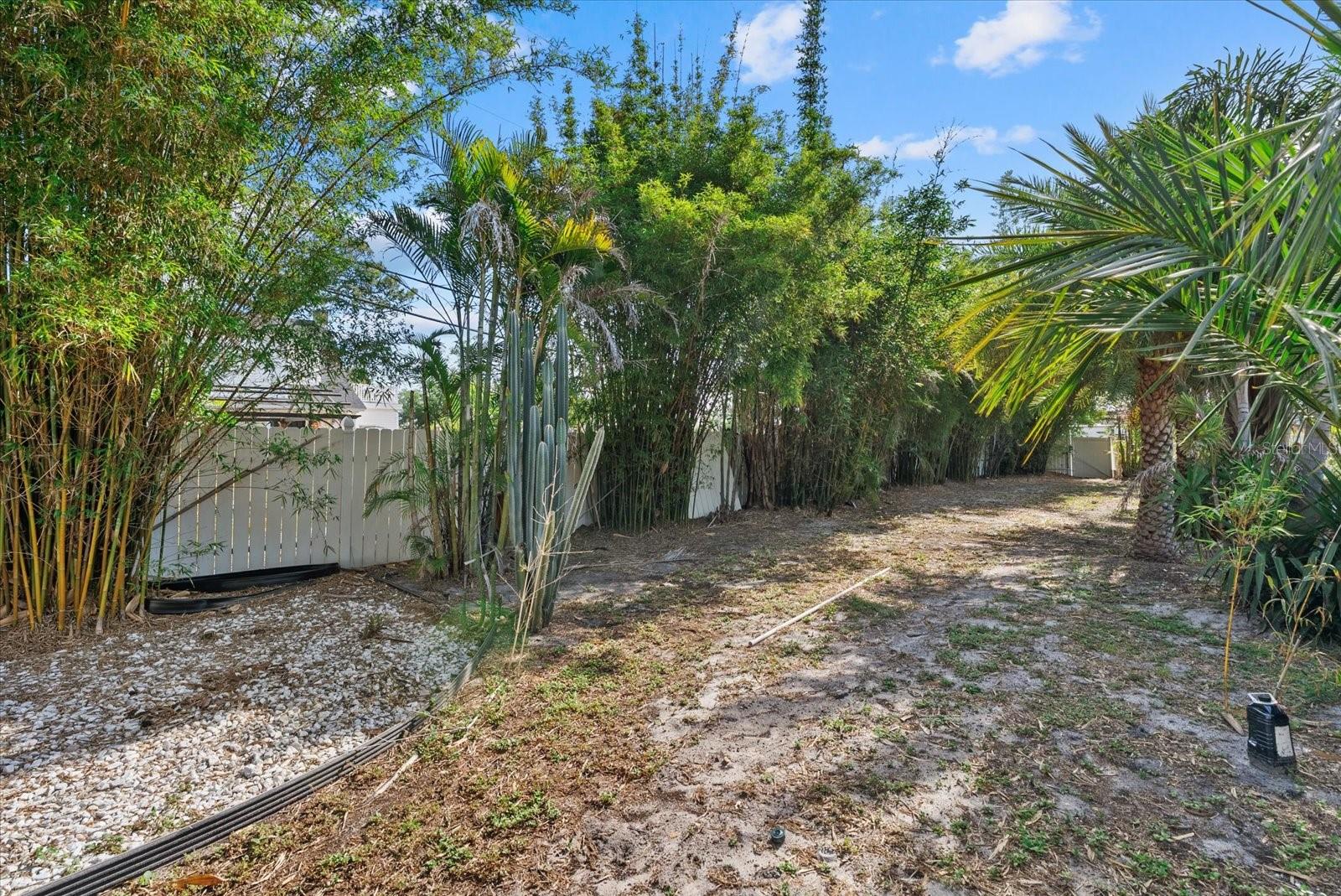 361 SCOTT AVE — photo 49