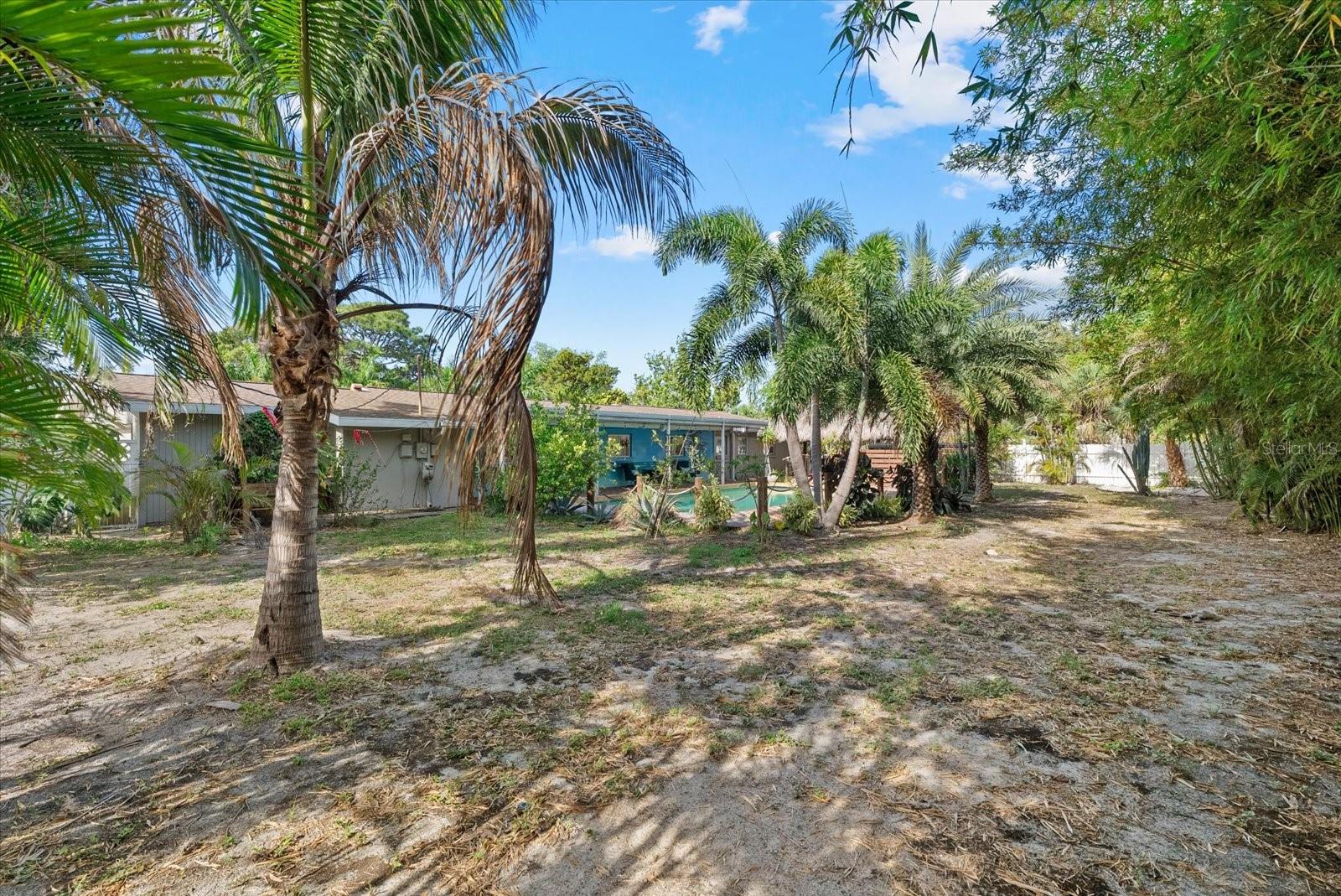 361 SCOTT AVE — photo 47