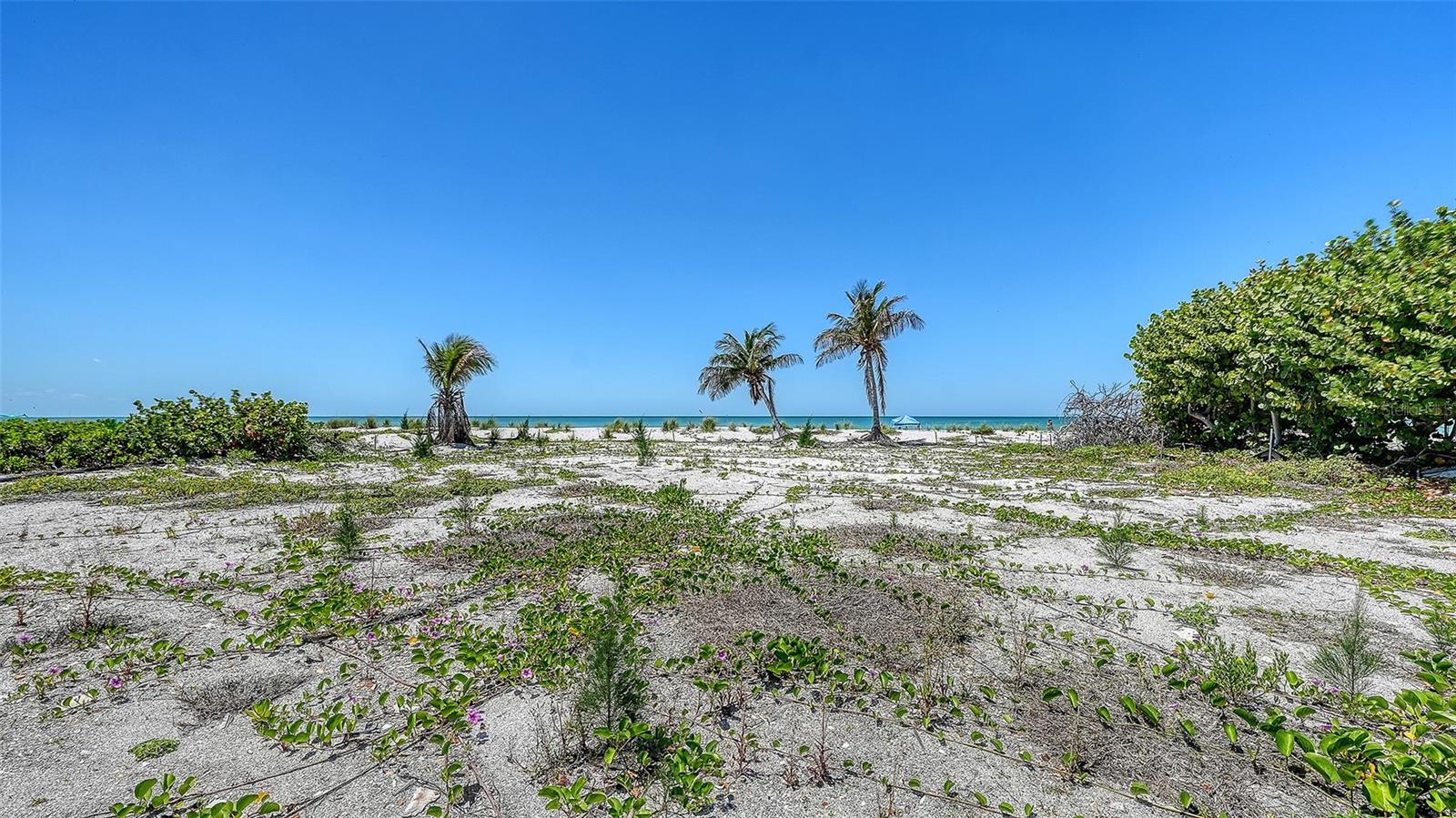 6441 GULFSIDE RD — photo 8