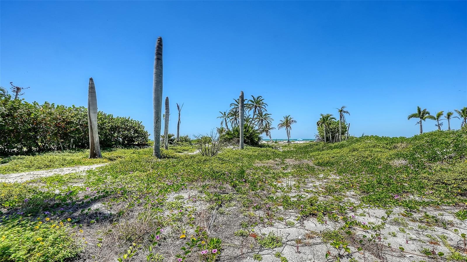 6441 GULFSIDE RD — photo 5