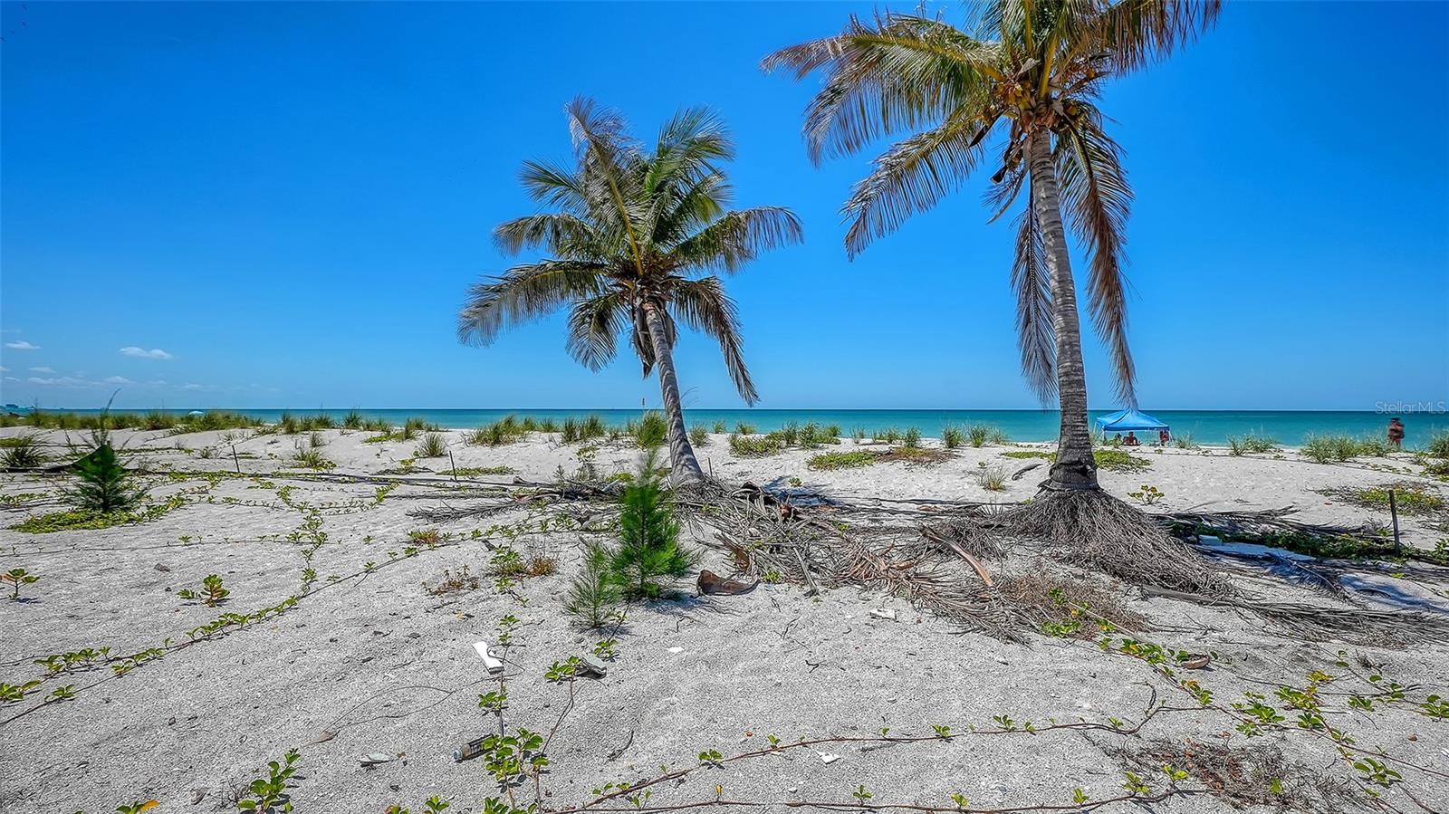 6441 GULFSIDE RD — photo 9