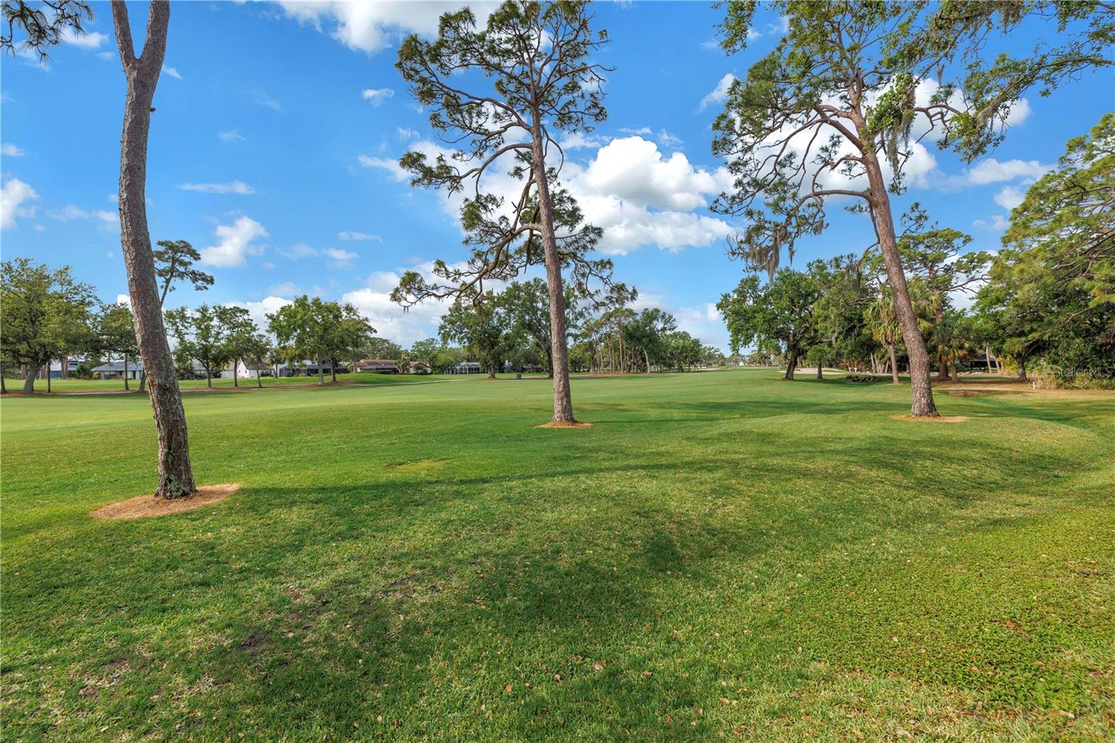 4334 MIRABELLA CIR — photo 59