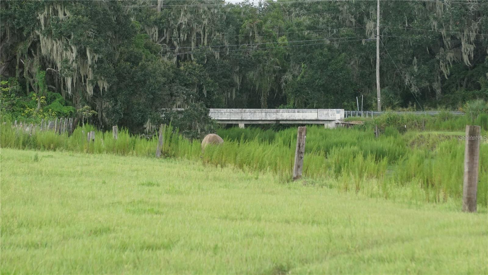 DURANT RD — photo 9