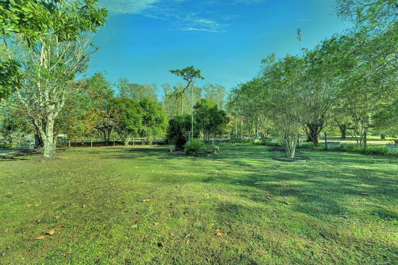 5201 PLESS RD — photo 10
