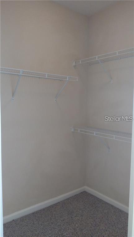 4207 S DALE MABRY HWY #2401 — photo 15