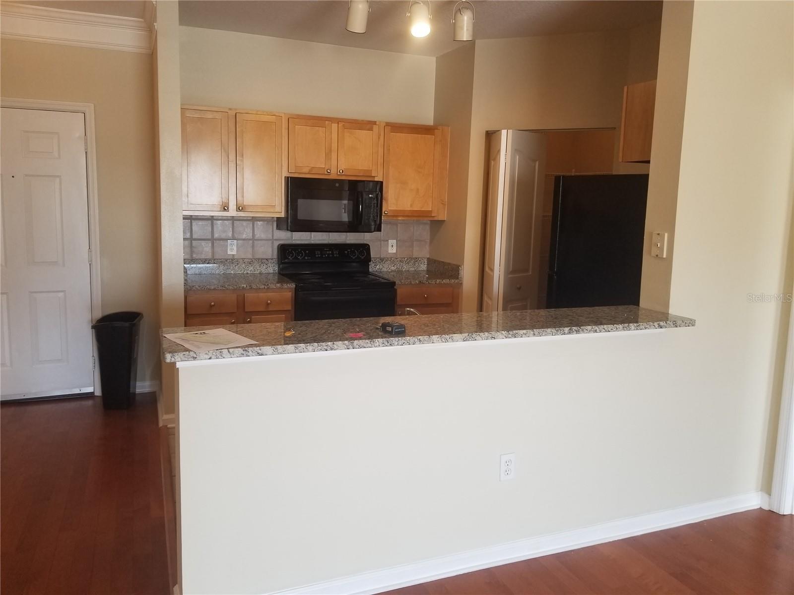 4207 S DALE MABRY HWY #2401 — photo 4