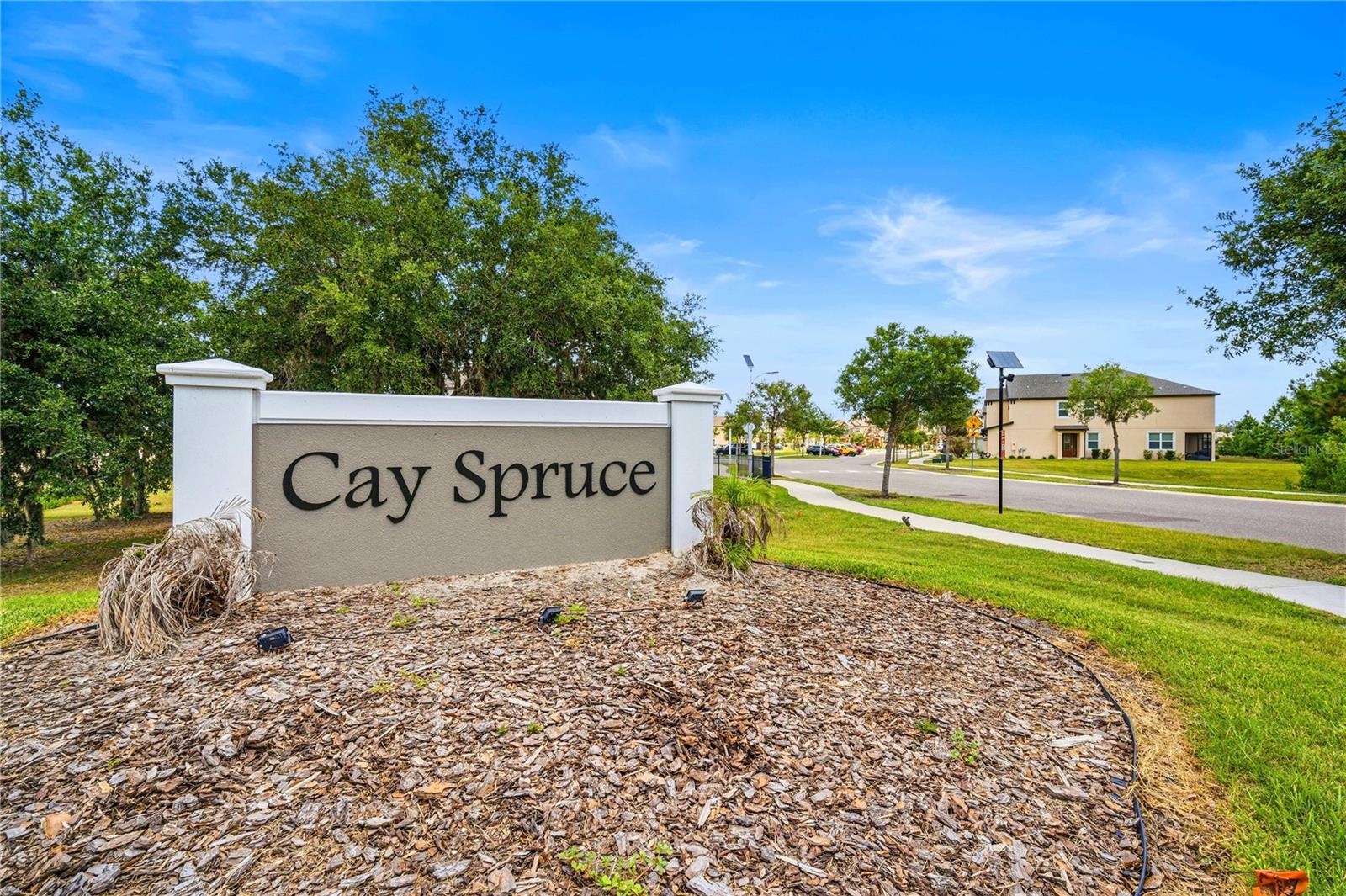 11240 CAY SPRUCE WAY — photo 30