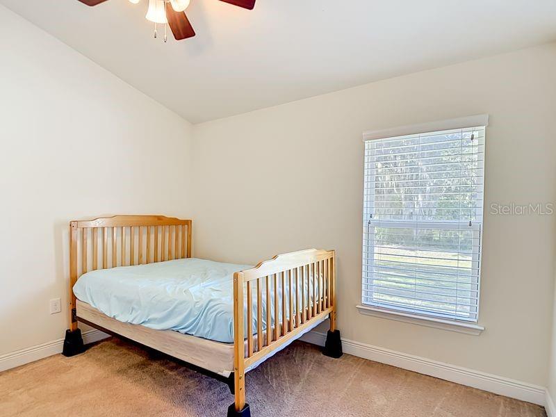 12244 LOOPBACK DR — photo 50