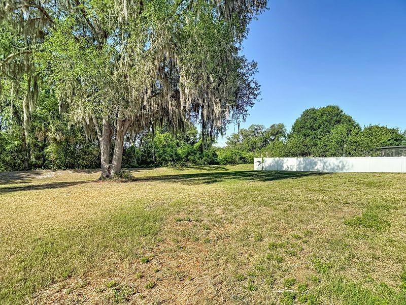 12244 LOOPBACK DR — photo 60