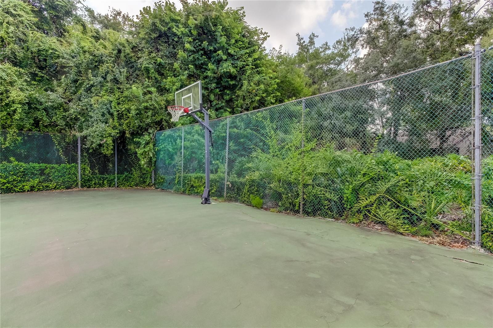 2909 FIG CT — photo 44