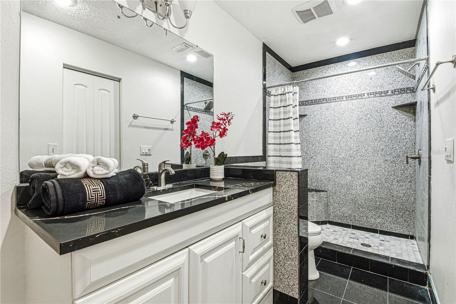 2909 FIG CT — photo 27
