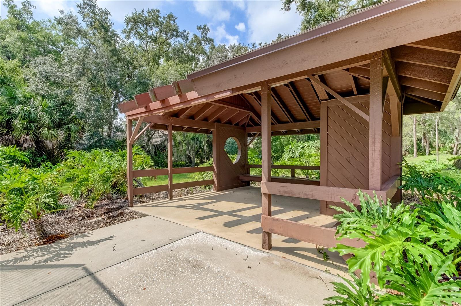 2909 FIG CT — photo 42