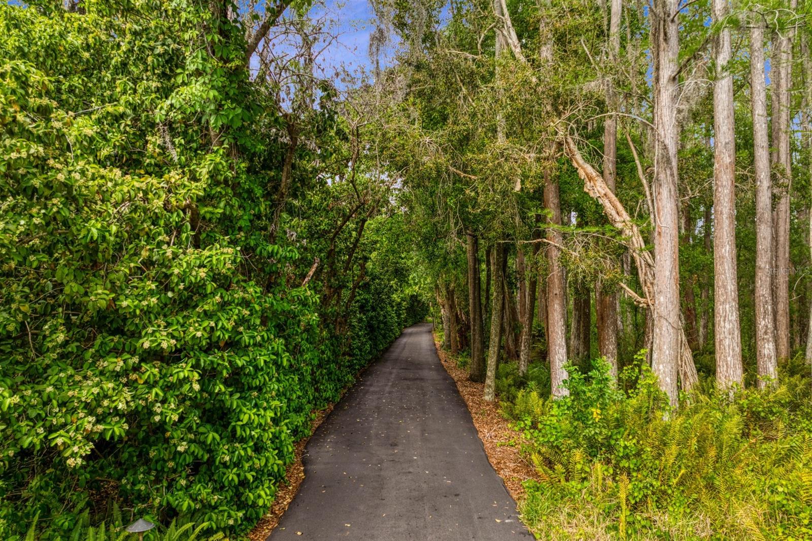8817 ROBERTS RD — photo 92