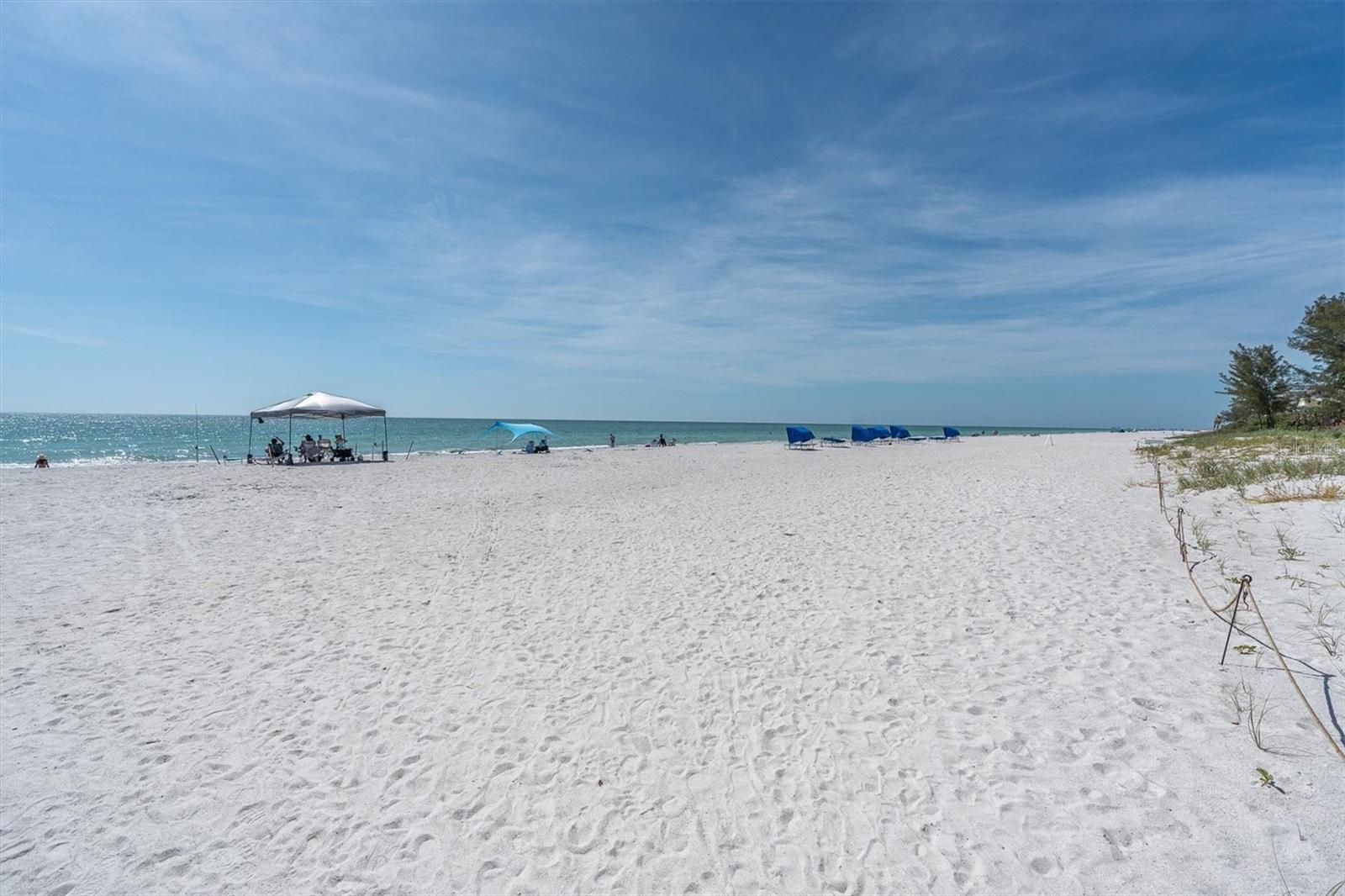 19610 GULF BLVD #308 — photo 38