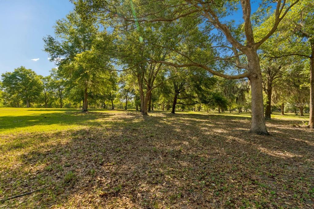 31501 REED RD — photo 5