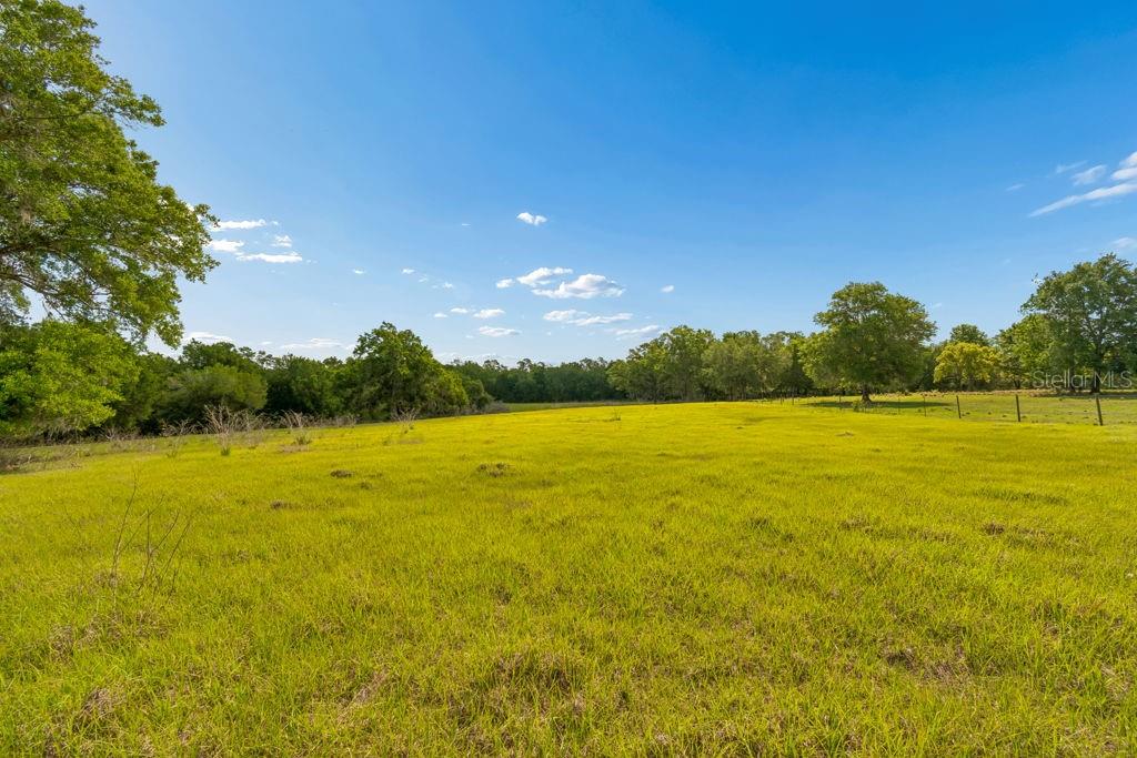31501 REED RD — photo 34