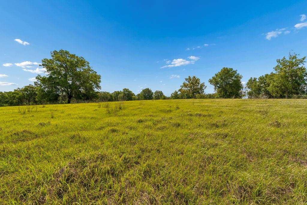 31501 REED RD — photo 33