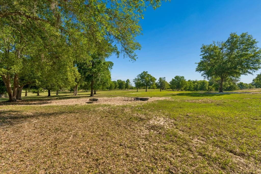 31501 REED RD — photo 9