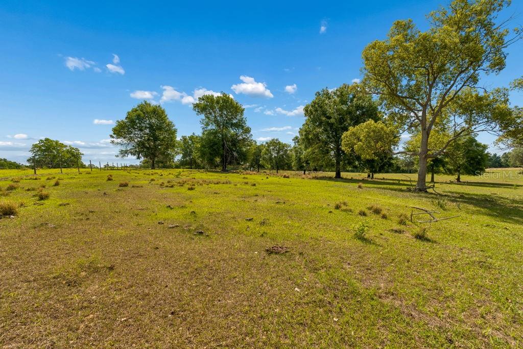 31501 REED RD — photo 19
