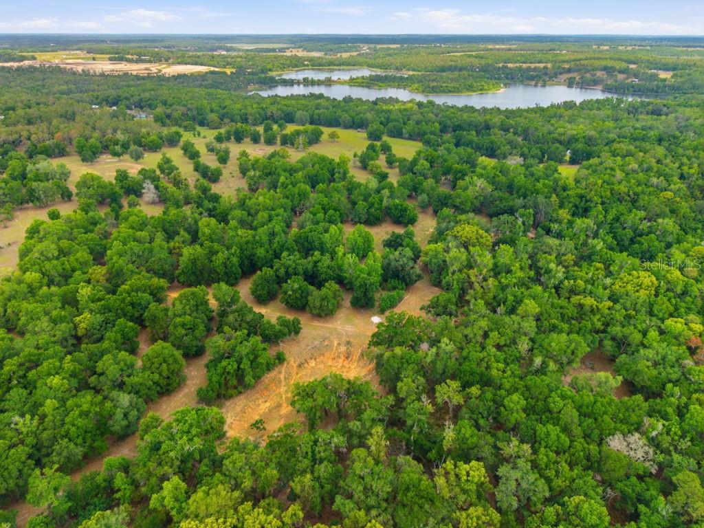 31501 REED RD — photo 40