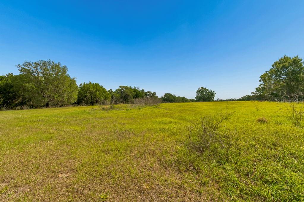 31501 REED RD — photo 32