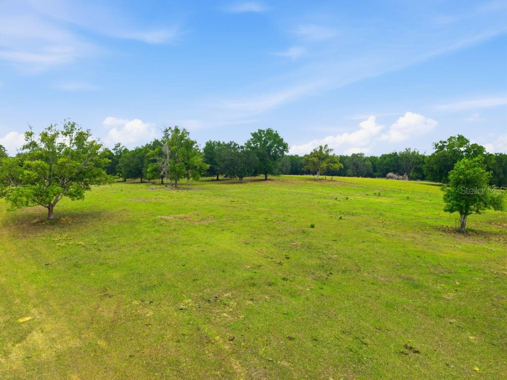 31501 REED RD — photo 41