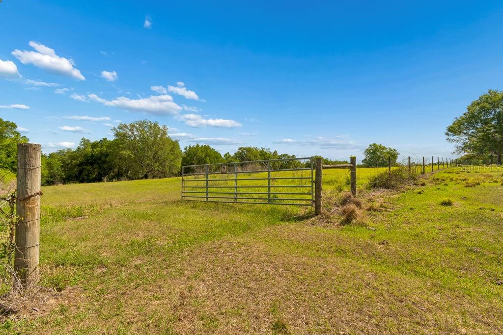 31501 REED RD — photo 31