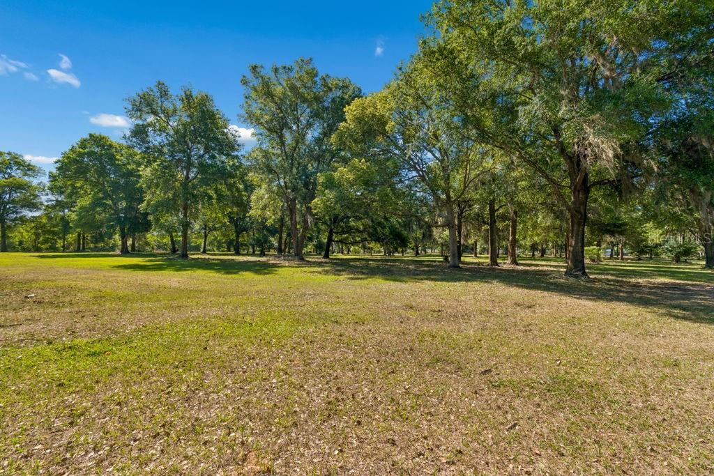 31501 REED RD — photo 6