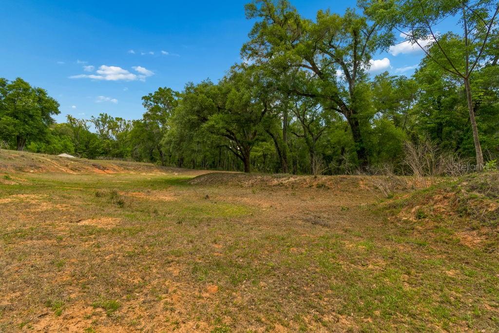 31501 REED RD — photo 14