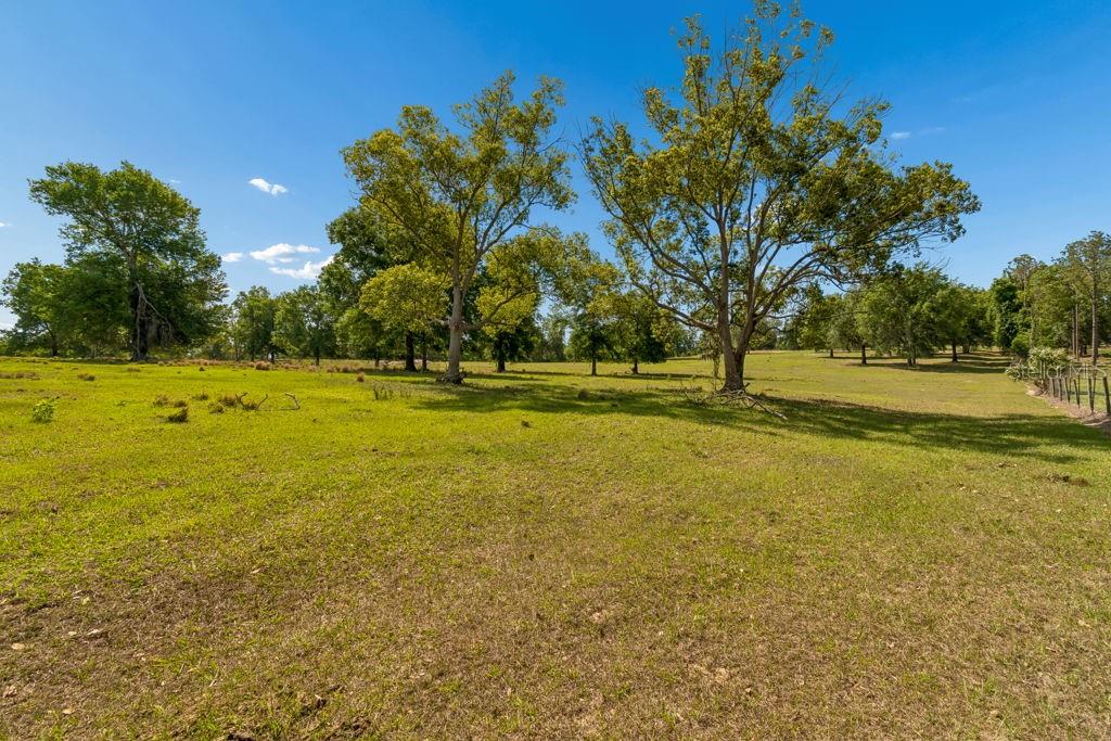 31501 REED RD — photo 24