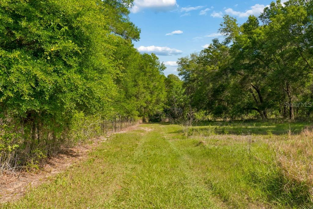 31501 REED RD — photo 20