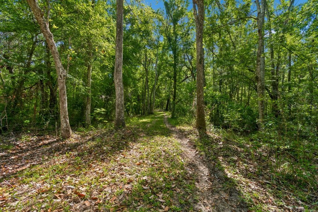 31501 REED RD — photo 23