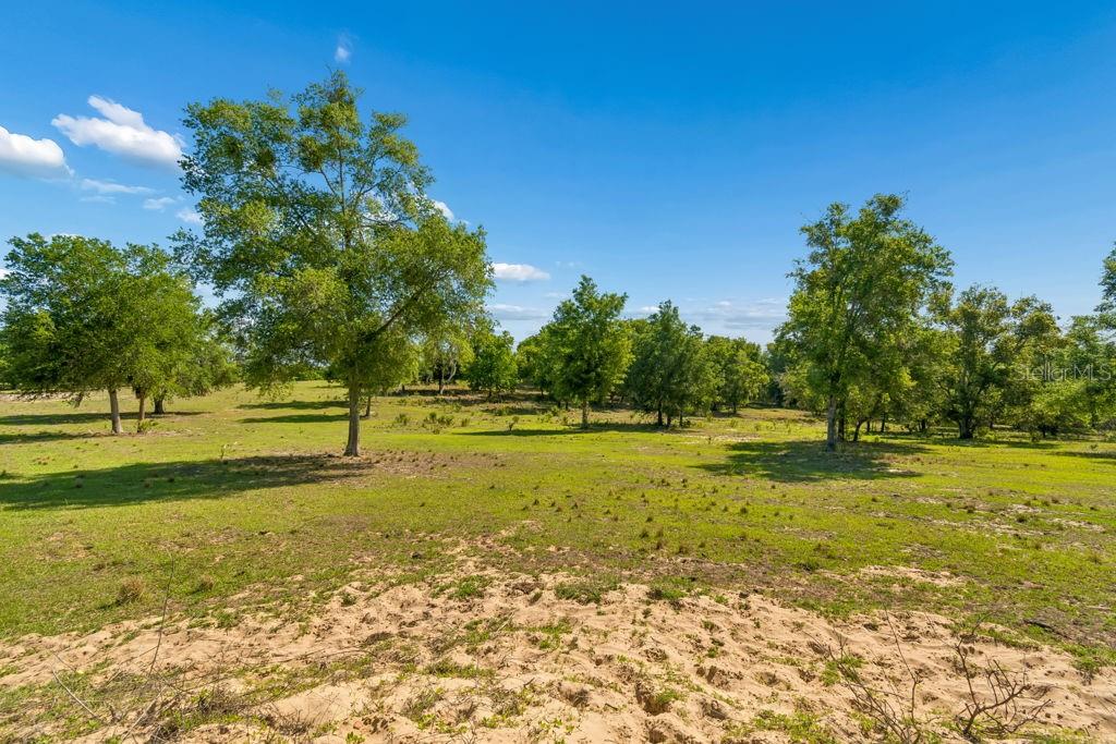 31501 REED RD — photo 11