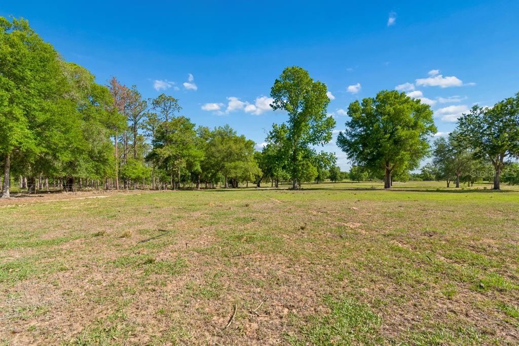 31501 REED RD — photo 8