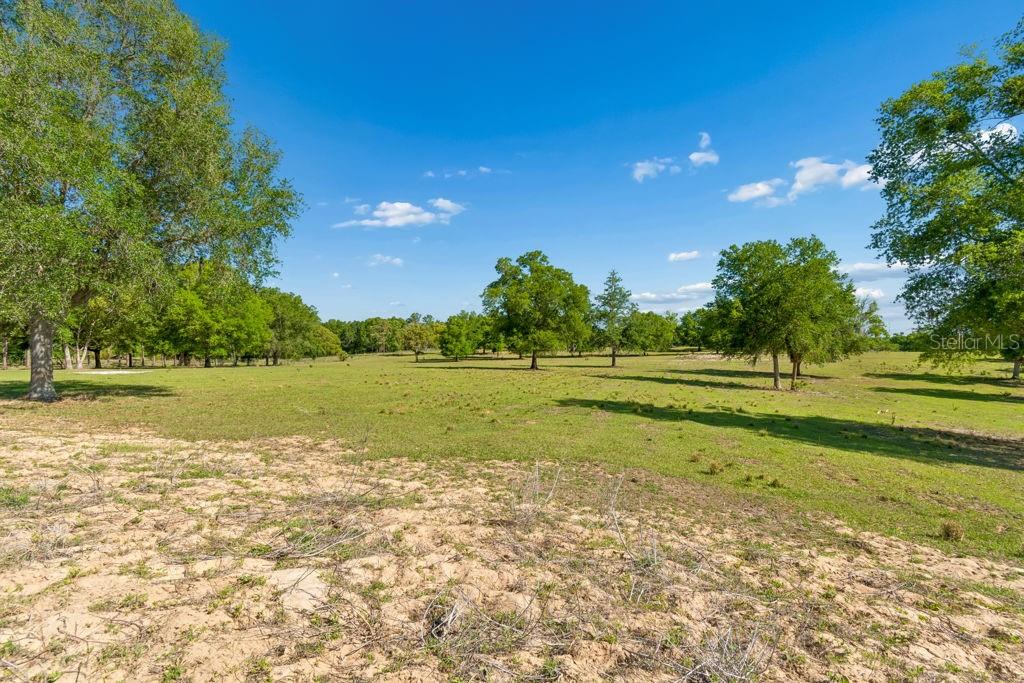 31501 REED RD — photo 10
