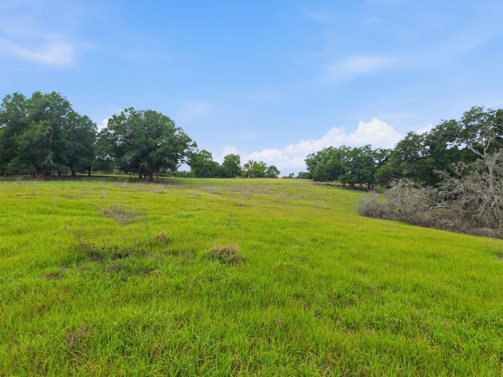 31501 REED RD — photo 44