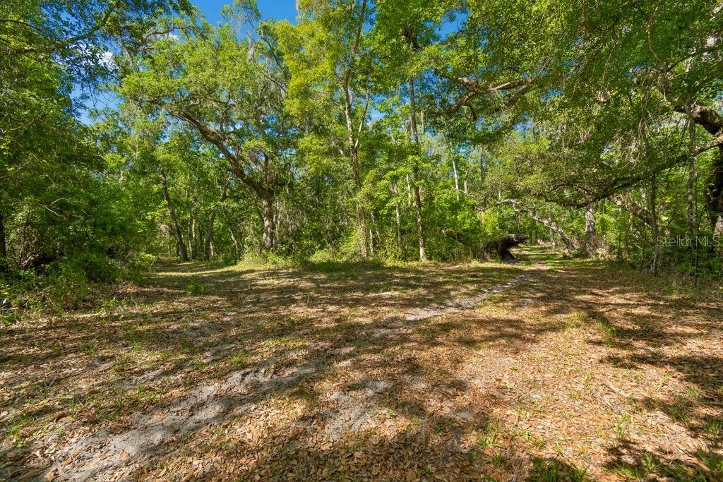 31501 REED RD — photo 30