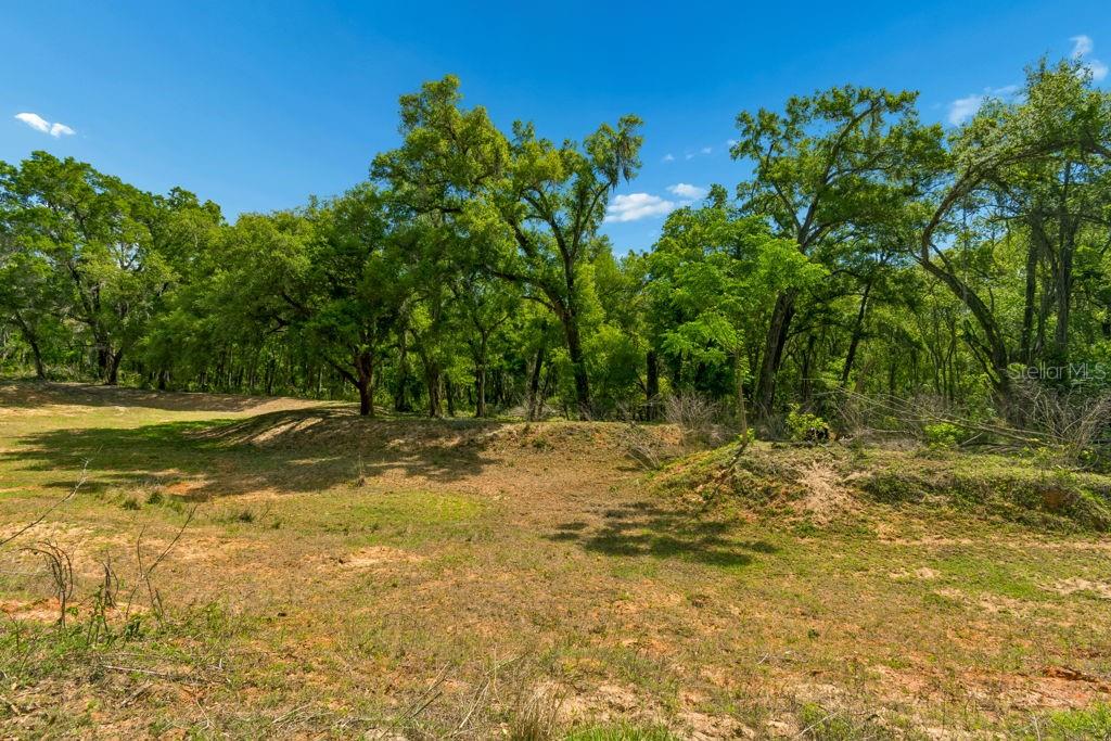 31501 REED RD — photo 16